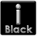 Black Business Icon Awards & Success Panel logo